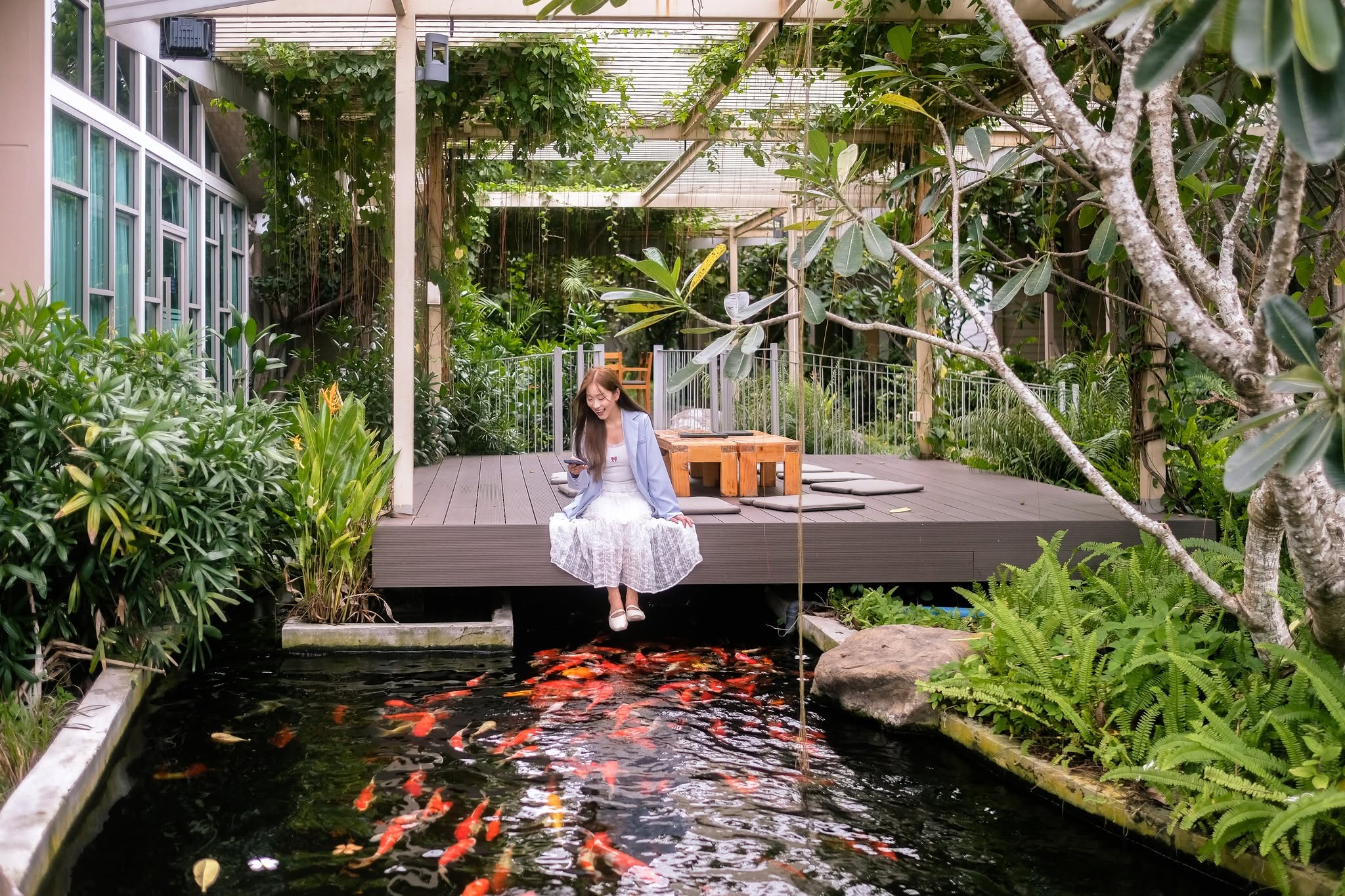 Koi Pond Fish Feeding at W1@Bangkoknoi